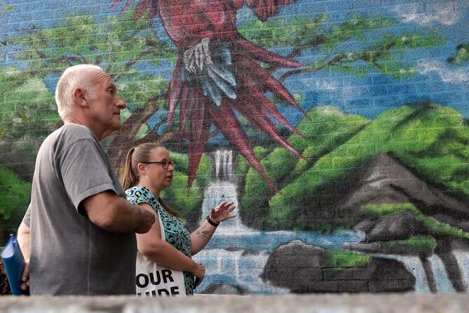 1,5 hour private guided Mural Street Art tour in Arnhem - Who should book this Arnhem walk