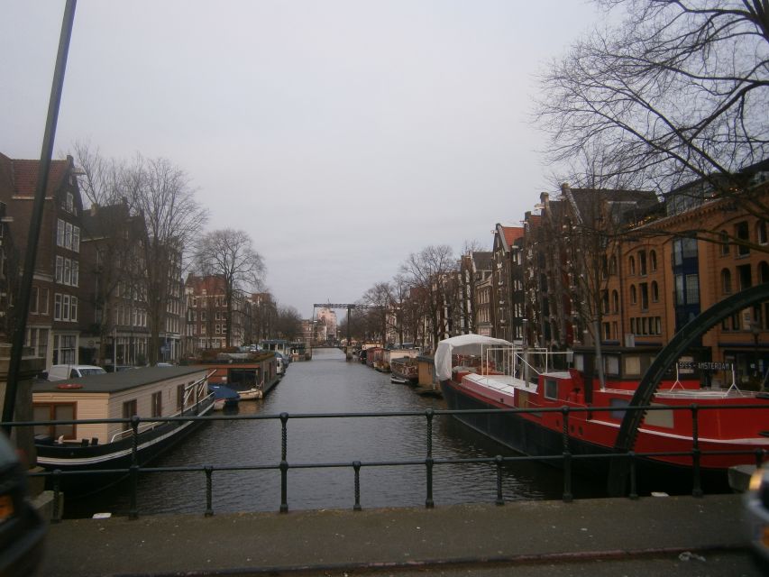 2.5-Hour Amsterdam Sightseeing Tour by Bike - Vondelpark by bike