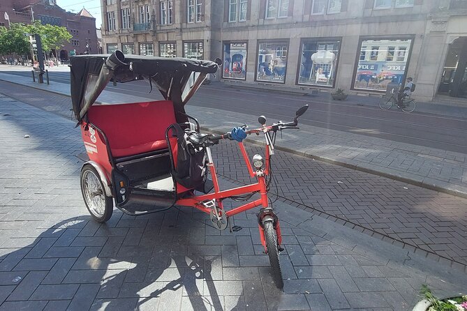 2 Hours Private Amsterdam Rickshaw Tour - Museumplein, the Anne Frank House, and Vondelpark