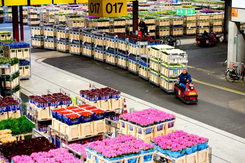 Aalsmeer: Flower Auction Royal Flora Holland Entry Ticket - What you see on the self-guided route