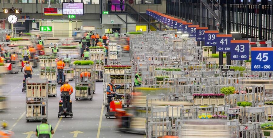 Aalsmeer: Flower Auction Royal Flora Holland Entry Ticket - The limits of a self-guided flower auction visit