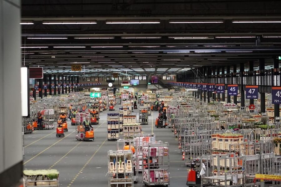 Aalsmeer: Flower Auction Royal Flora Holland Entry Ticket - Should you book Royal FloraHolland?