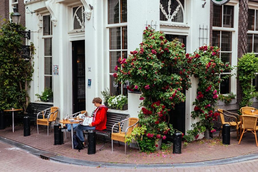 Amsterdam: 1.5-Hour Private Kick-Start Tour with a Local - How to prepare for a better walk