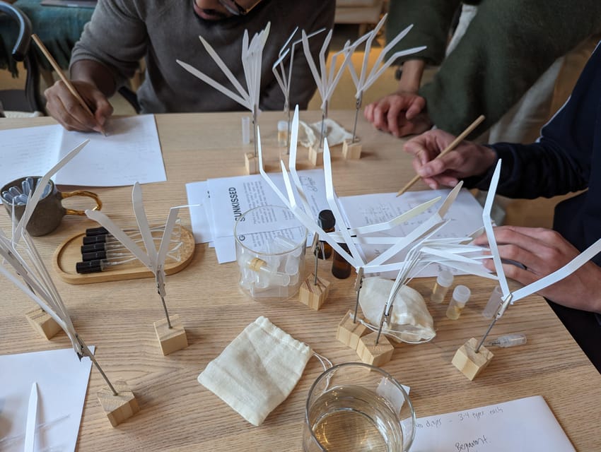 Amsterdam: 3-Hour Mindful Perfume-Making Workshop - Blending your own perfume