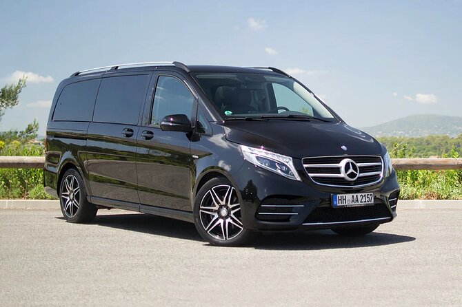 Amsterdam Airport Private Arrival Transfer by Luxury Van - Timing, cancellations, and small booking details
