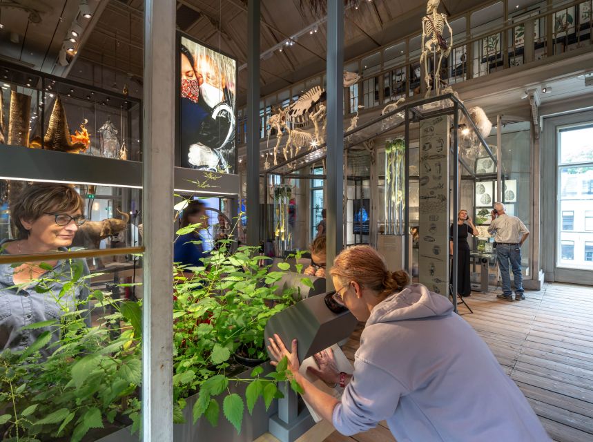 Amsterdam: ARTIS-Groote Museum Entry Ticket - Planning your opening hours