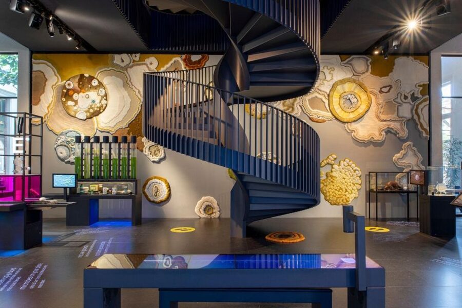 Amsterdam: ARTIS-Micropia Microbe Museum Entry Ticket - The first stations: seeing life you normally miss