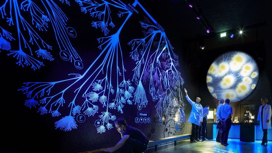 Amsterdam: ARTIS-Micropia Microbe Museum Entry Ticket - The body scanner and your personal microbe report