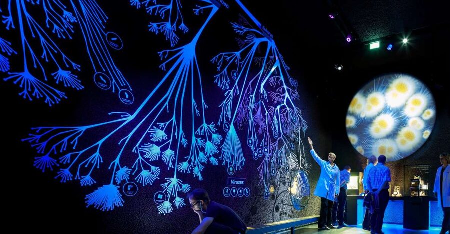 Amsterdam: ARTIS-Micropia Microbe Museum Entry Ticket - Is $21 a fair price?