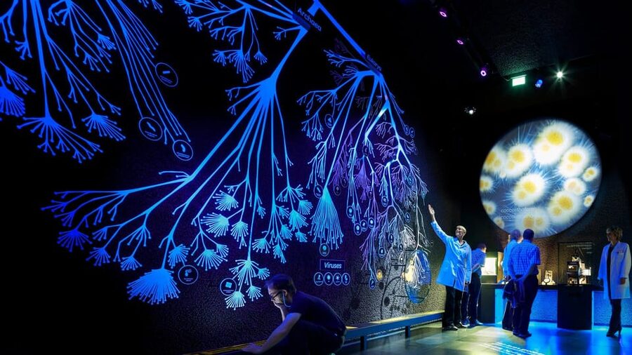 Amsterdam: Artis Royal Zoo & ARTIS-Micropia Combo Ticket - Should you book the ARTIS and Micropia combination?