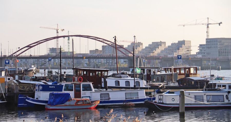 Amsterdam: Bike Tour (Noord) in German or English - English or German, choose carefully