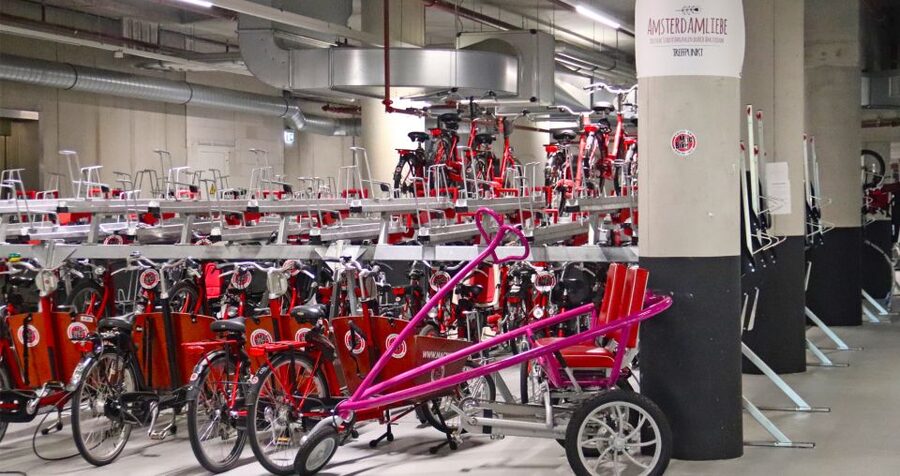 Amsterdam: Bike Tour (Noord) in German or English - What the private price really means