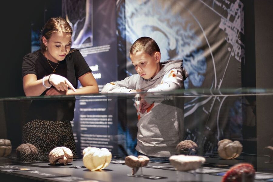 Amsterdam: Body Worlds Exhibition and Canal Cruise - Reserving the canal cruise
