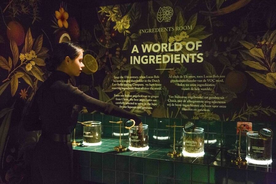 Amsterdam: Bols Cocktail Experience and Cocktail Workshop - The cocktail workshop with a professional bartender
