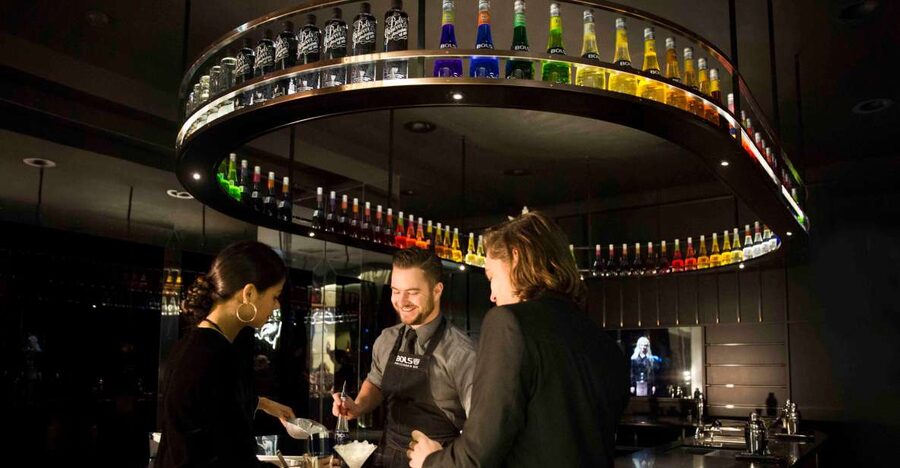 Amsterdam: Bols Cocktail Experience and Cocktail Workshop - How much drinking is included?