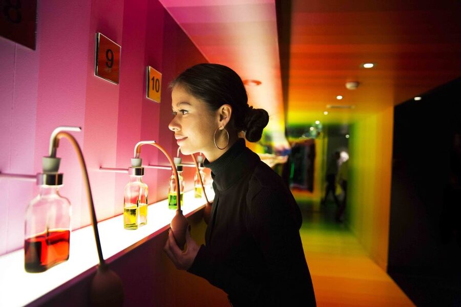 Amsterdam: Bols Cocktail Experience and Cocktail Workshop - Who will enjoy this most?