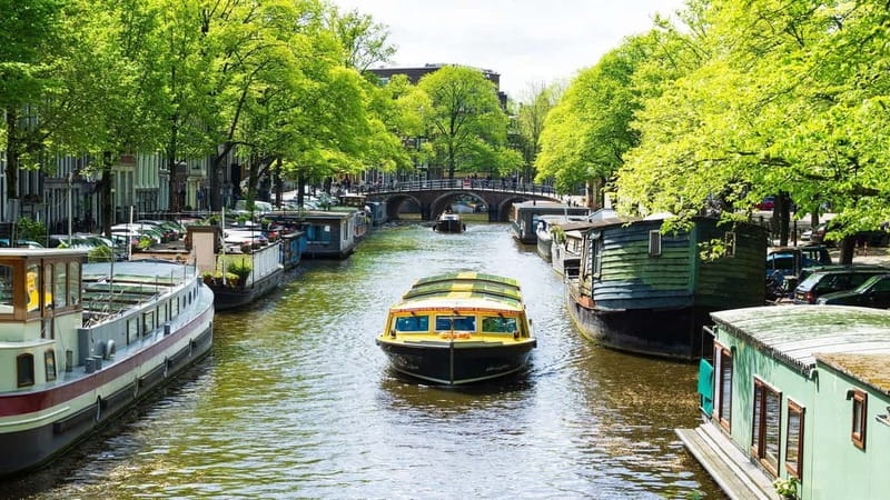 Amsterdam canal cruise with culinary burger or cheese & wine - Magere Brug and the museum quarter
