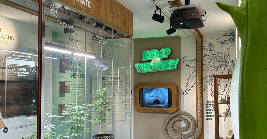 Amsterdam: Cannabis Museum Entry Ticket - Key points before you go