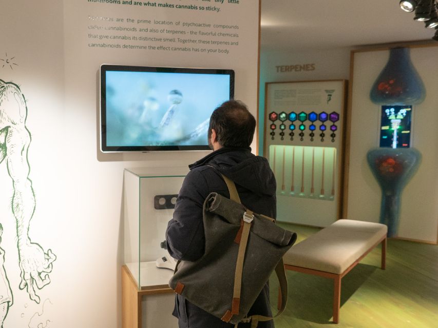 Amsterdam: Cannabis Museum Entry Ticket - What the Cannabis Museum is really about