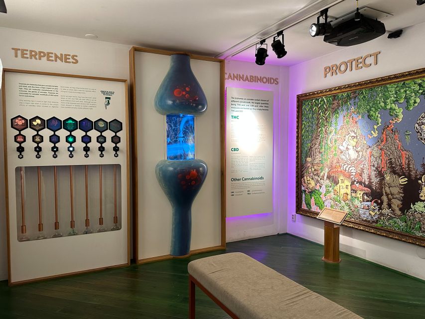 Amsterdam: Cannabis Museum Entry Ticket - The top-floor finish and the museum rules