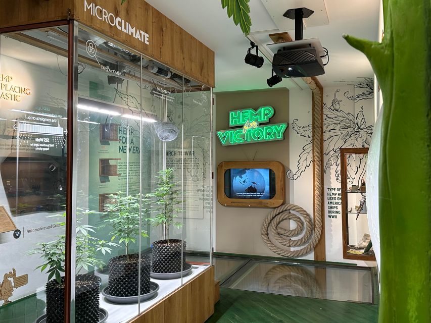 Amsterdam: Cannabis Museum Entry Ticket - Three floors, each with a different angle