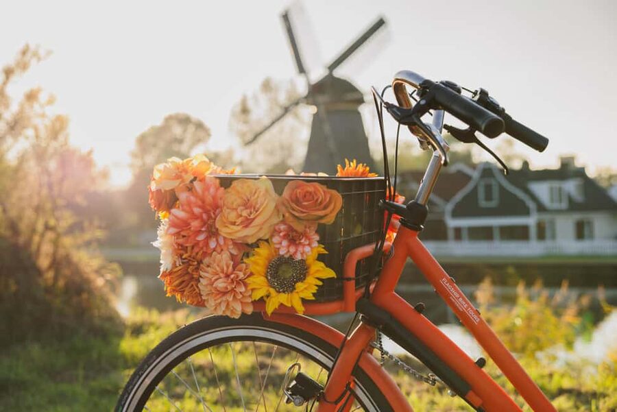 Amsterdam: Cheese, Windmill & Countryside Bike Tour - What the bike and guide mean for your day