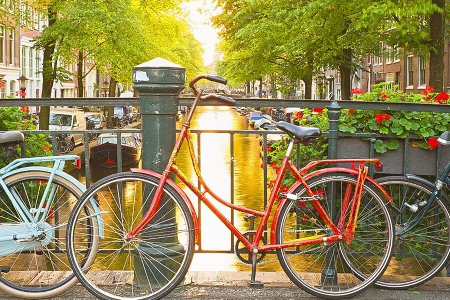 Amsterdam City Center Guided Walking Tour - 12 guests 2,5h - Key points at a glance
