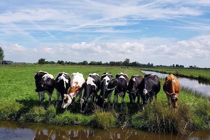 Amsterdam City & Countryside Tour: The Best of both Worlds - Practical details to settle before departure