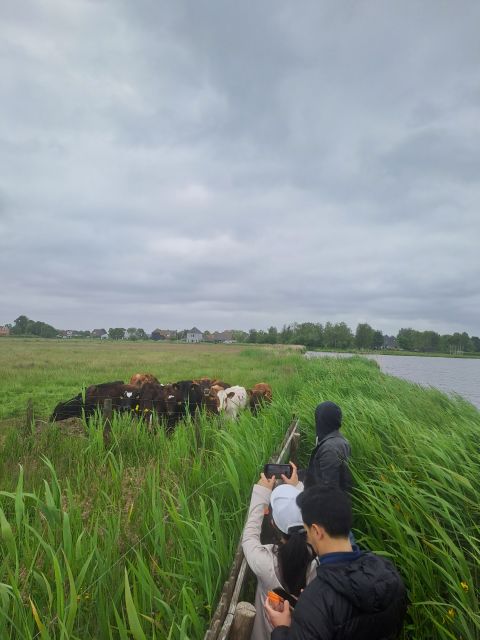 Amsterdam: Countryside Bike and Kayak Guided Tour - Why this tour gets you out of Amsterdam quickly