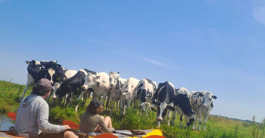 Amsterdam: Countryside Bike and Kayak Guided Tour - Broek in Waterland and the kayak section