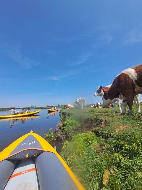Amsterdam: Countryside Bike and Kayak Guided Tour - The ride back through Amsterdam-Noord