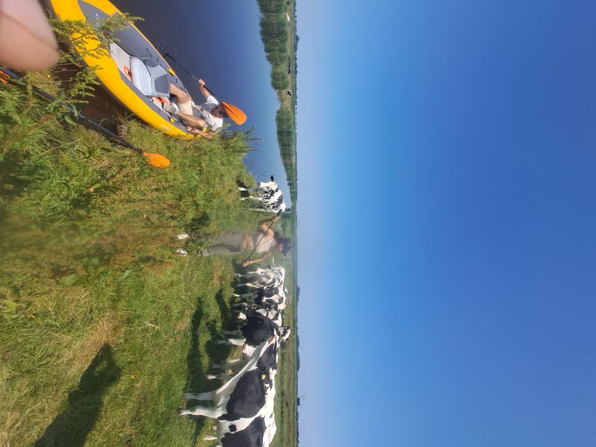 Amsterdam: Countryside Bike and Kayak Guided Tour - What Tristan adds to the outing