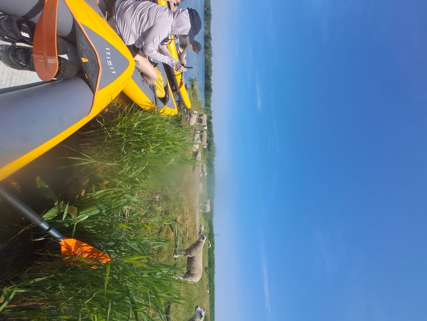 Amsterdam: Countryside Bike and Kayak Guided Tour - Who should book this countryside outing?