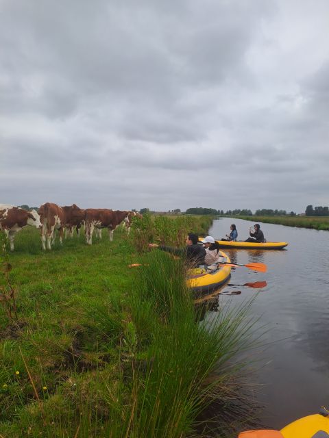 Amsterdam: Countryside Bike and Kayak Guided Tour - The first hour: cycling toward d’Admiraal Windmill
