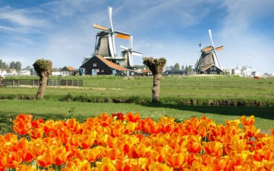 Day Tour Keukenhof and Zaanse Schans Windmills