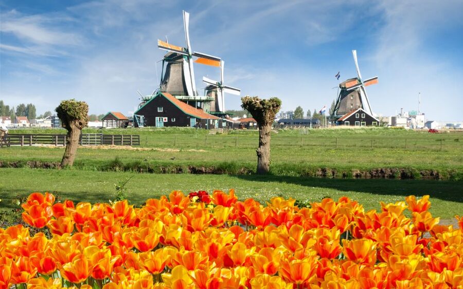 Amsterdam: Day Tour Keukenhof and Zaanse Schans Windmills - Keukenhof: give the flowers the time they deserve