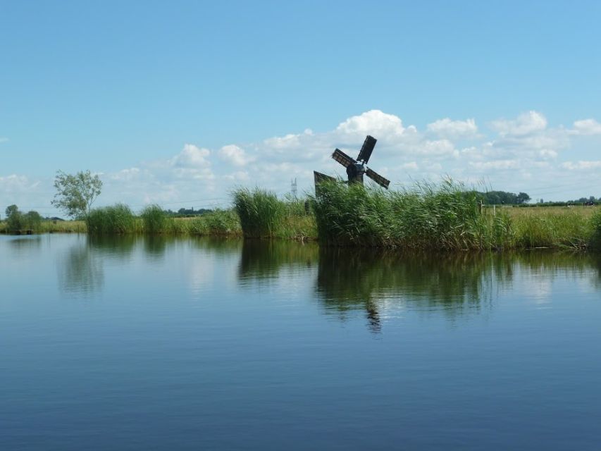 Amsterdam: Dutch Countryside Sunset Canoe Tour - A picnic beside the lake