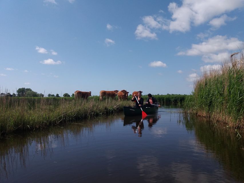Amsterdam: Dutch Countryside Sunset Canoe Tour - The return drink and ride back