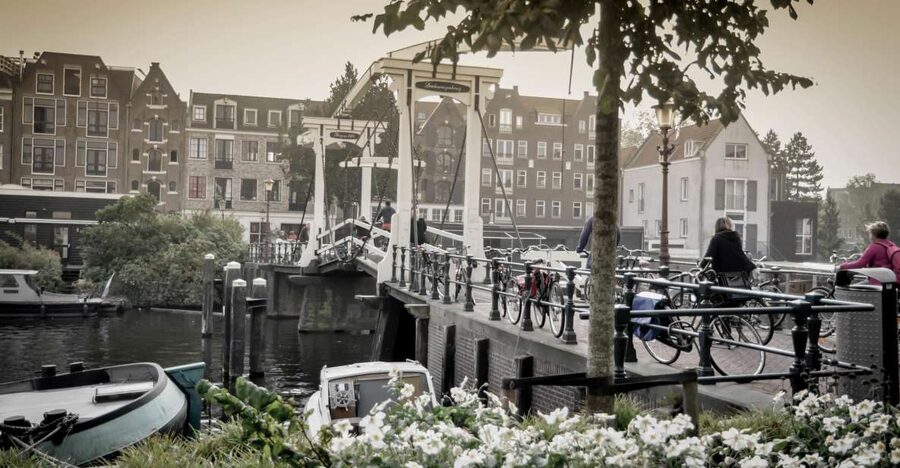 Amsterdam: Guided City Bike Tour in French - Starting at IJdok and the Western Islands