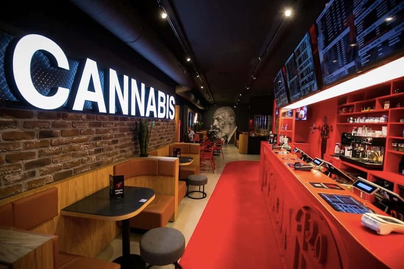 Amsterdam: Guided Ganja Walking Tour of Coffee Shops - What this Amsterdam tour really offers