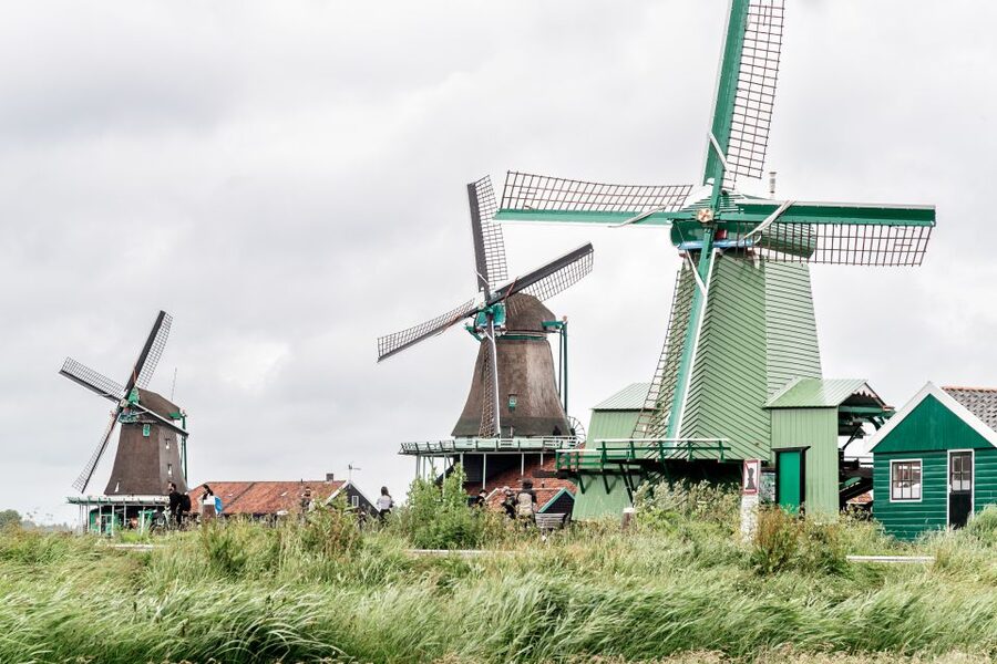 Amsterdam: Guided Zaanse Schans, Windmills & Cheese Tour - The Wooden Shoe Workshop