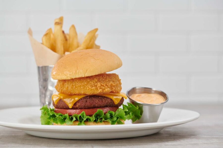 Amsterdam: Hard Rock Cafe Experience - Who will enjoy this stop most
