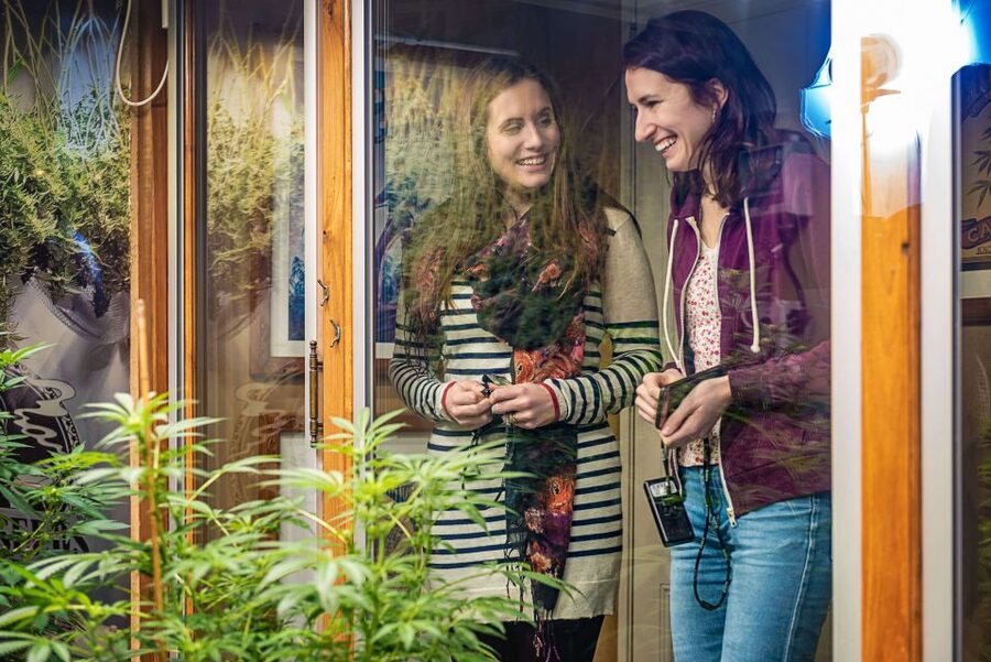 Amsterdam: Hash, Marihuana, and Hemp Museum Entry Ticket - The live cannabis garden