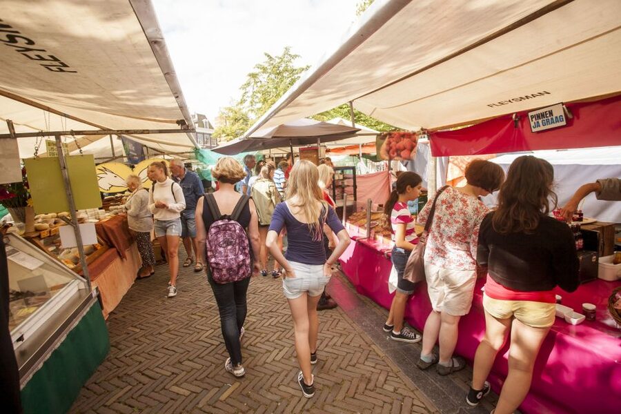 Amsterdam: Hidden Gems & Highlights Guided Bike Tour - Riding through Vondelpark