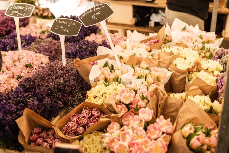Amsterdam: Highlights & Hidden Gems Private Walking Tour - The floating flower market on the Singel