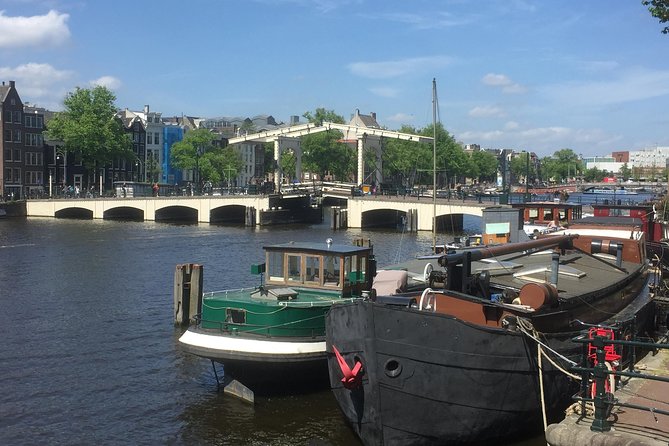 Amsterdam in a Nutshell 4 Hour Private Car Tour and Amsterdam Born Private Guide - Why a private car works well in Amsterdam