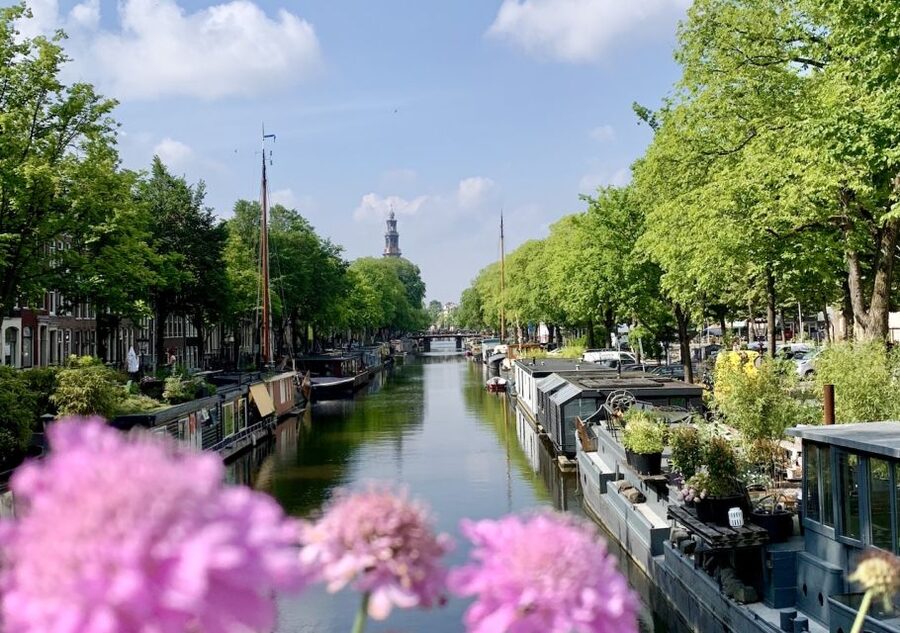 Amsterdam: Jordaan District Tour with a German guide - Price And What You Get For $27