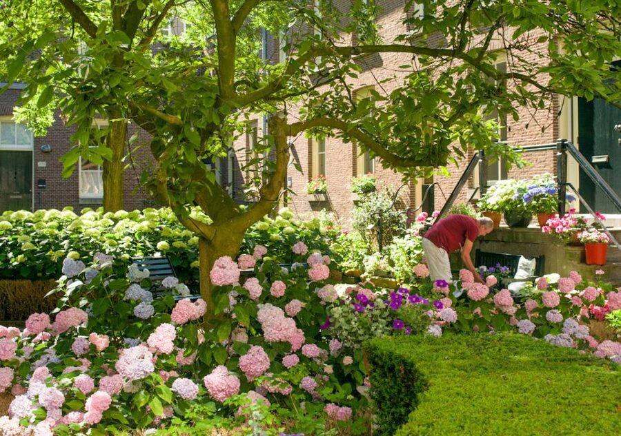 Amsterdam: Jordaan District Tour with a German guide - Noorderkerk And The Northern Jordaan