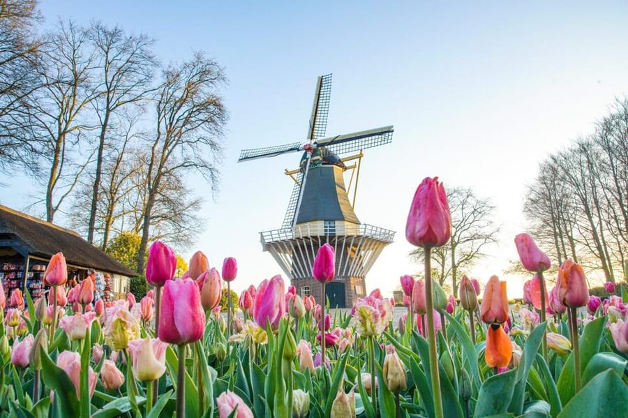 Amsterdam: Keukenhof and Zaanse Schans Live Guided Day Tour - Zaanse Schans: windmills, workshops, and a mixed amount of free time