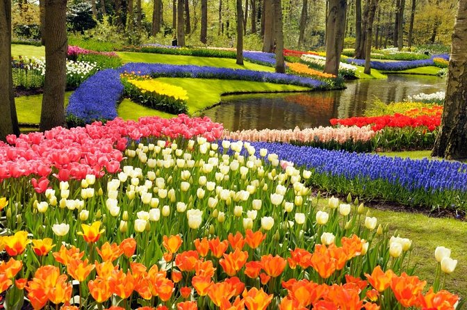 Amsterdam: Keukenhof and Zaanse Schans Windmills Guided Day Trip - Key points before you book